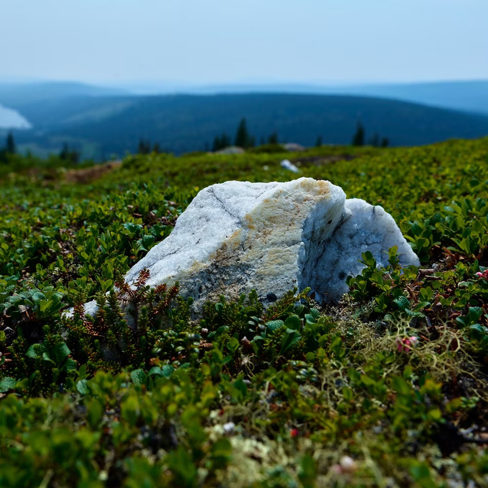 Environmental Considerations